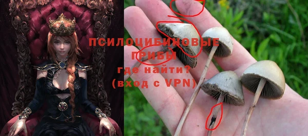 молекула духа Балахна